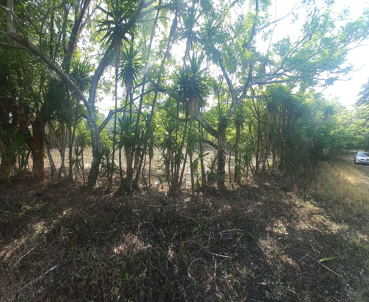  Terreno en venta Granjas Valle de Montebello/vas - foto 1