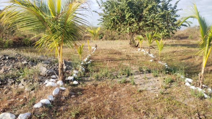 Quintas la Ponderosa lote en venta km 77 Escuintla - foto 1