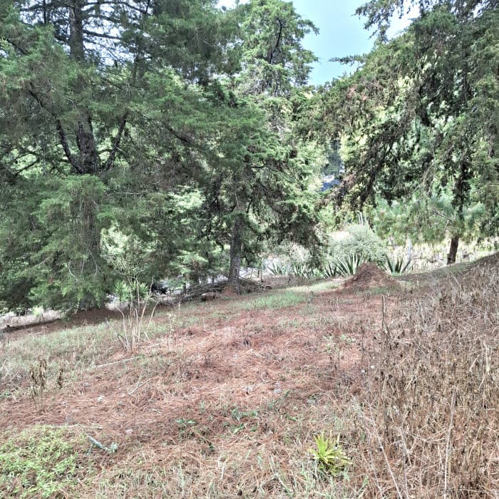 En Venta Terreno en Villa Ecuestre El Pulté Guatemala - foto 1