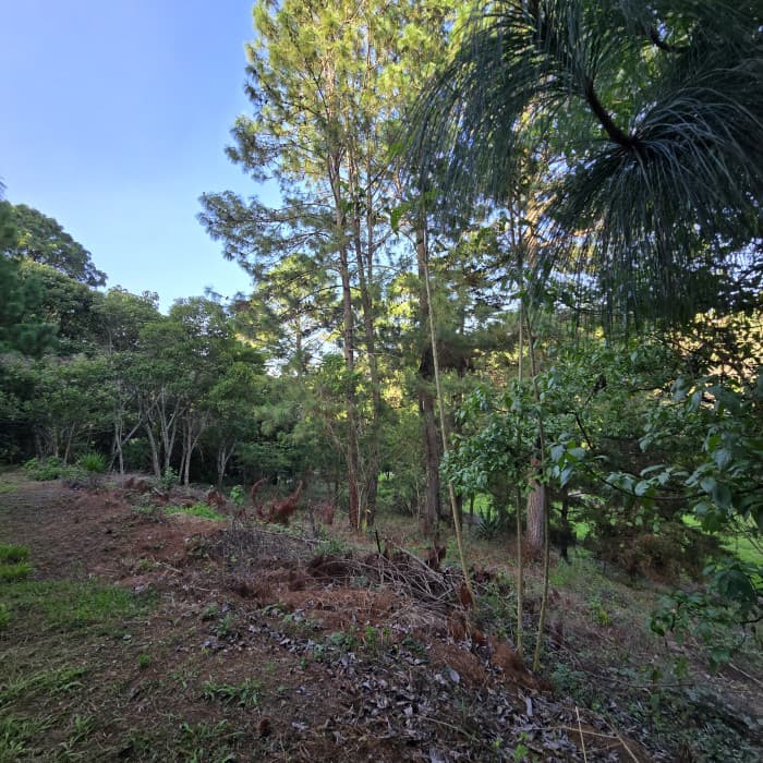 En venta exclusivo Terreno en zona 16 el Pulte Ecuestre - foto 1
