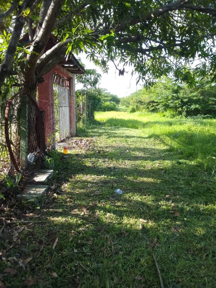 Terreno-condominio económico venta  Taxisco Santa Rosa - foto 1