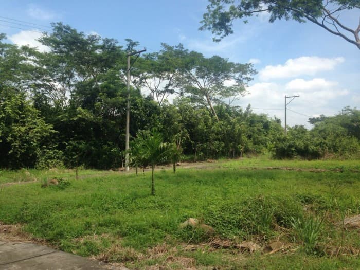 Terreno en VENTA en  Km 79 Autopista Puerto Quetzal - foto 1