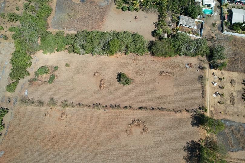 Terreno Plano  en Venta en Aldea el Guayabo Iztapa - foto 1