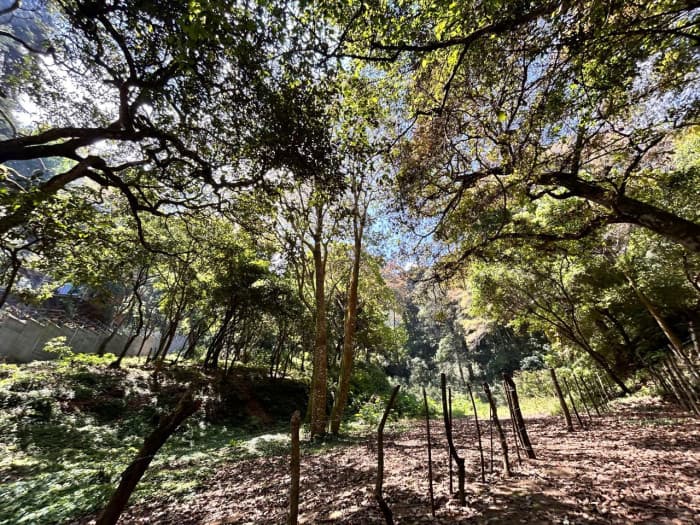 Terreno en Venta en Choacorral San Lucas Sacatepequez - foto 1