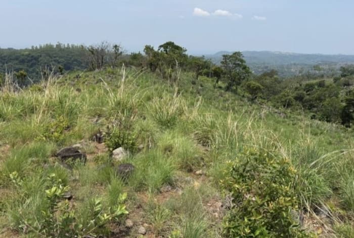 Terreno en venta de 29,818 M2 en Taxisco  - foto 1