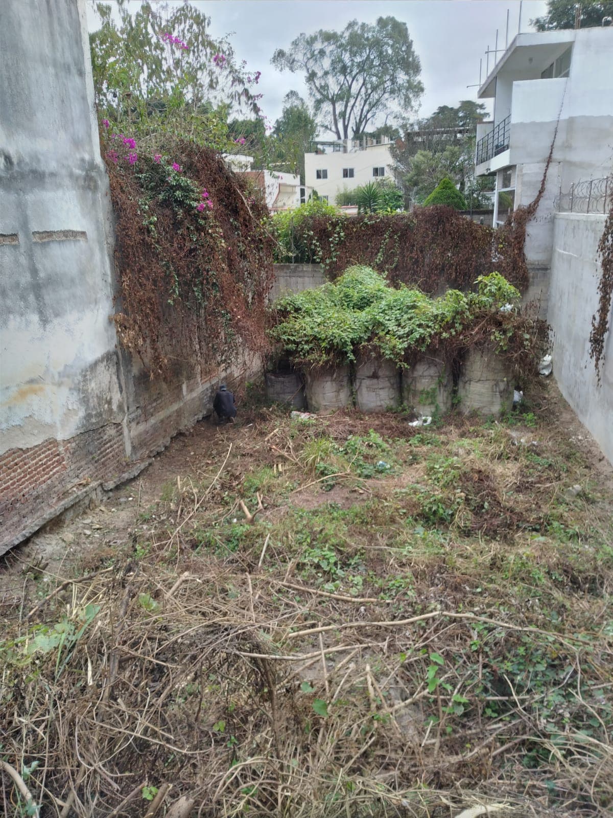 Terreno en Renta Ideal para uso Comercial en zona 2 - foto 1