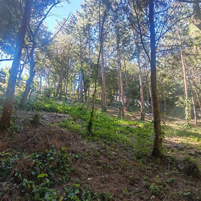Finca en Venta de 9 manzanas en Fraijanes Guatemala - foto 1