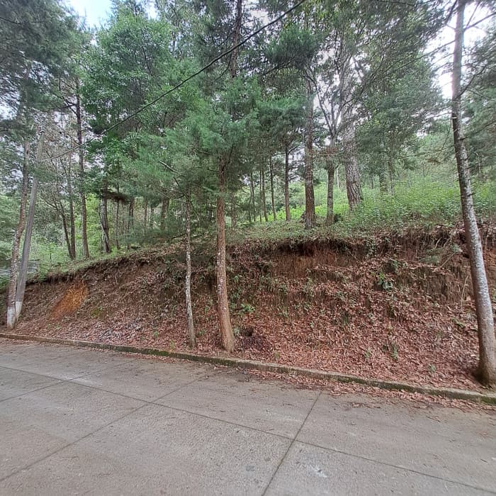Rancho Verde Fraijanes Lote en venta - foto 1