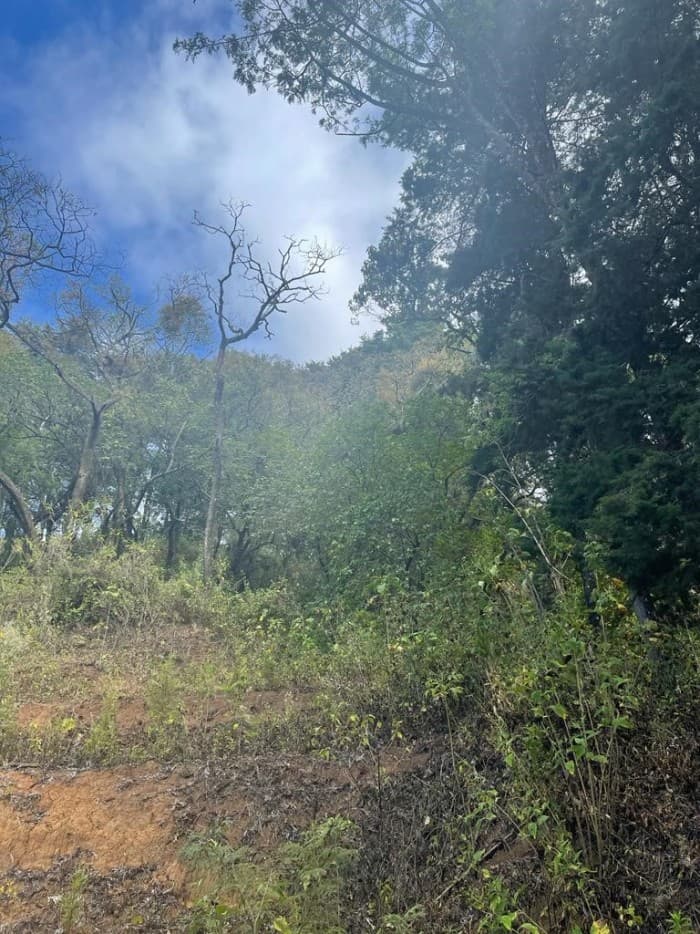 Terreno en Venta en Granja Buenos Aires - foto 1