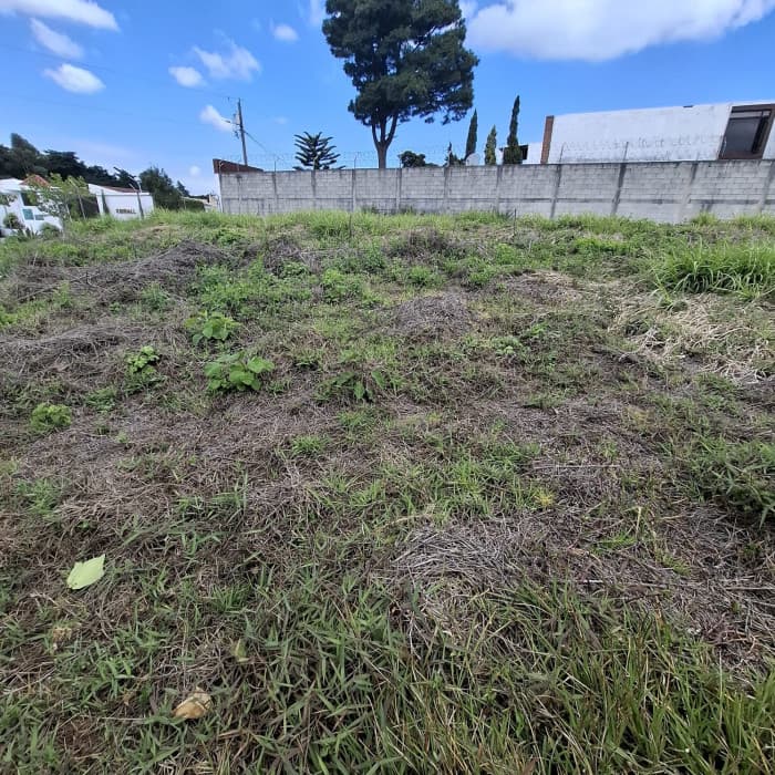 Renta Terreno Comercial Santa Catarina Pinula 18.5 - foto 1