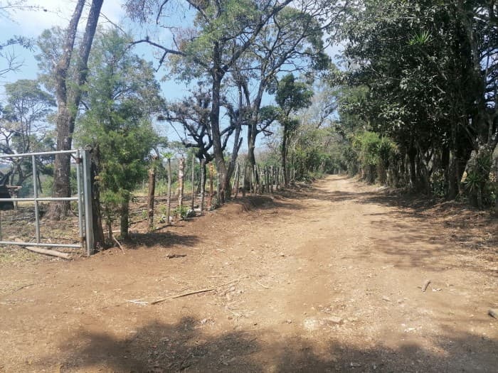 Vendo Terreno para desarrollo en Carretera El Salvador - foto 1