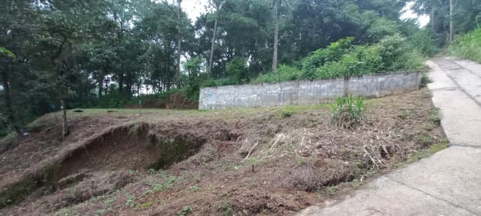 Terreno en venta en el Encinal Tronco 2  - foto 1
