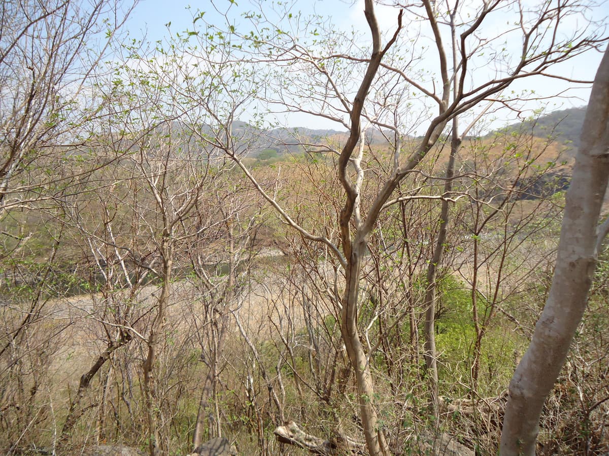 PROYECTO HIDROELECTRICO LA ANGOSTURA GUATEMALA-EL SALVADOR - foto 1