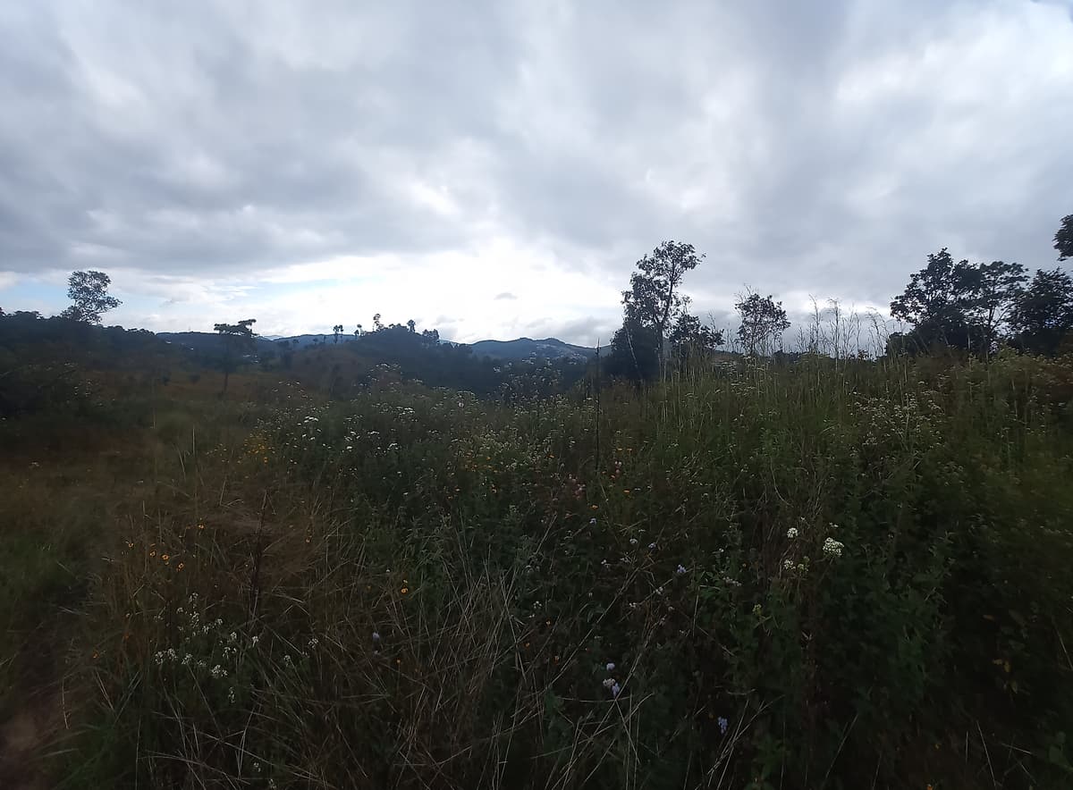 Terreno Comercial área San Pedro Ayampuc - foto 1