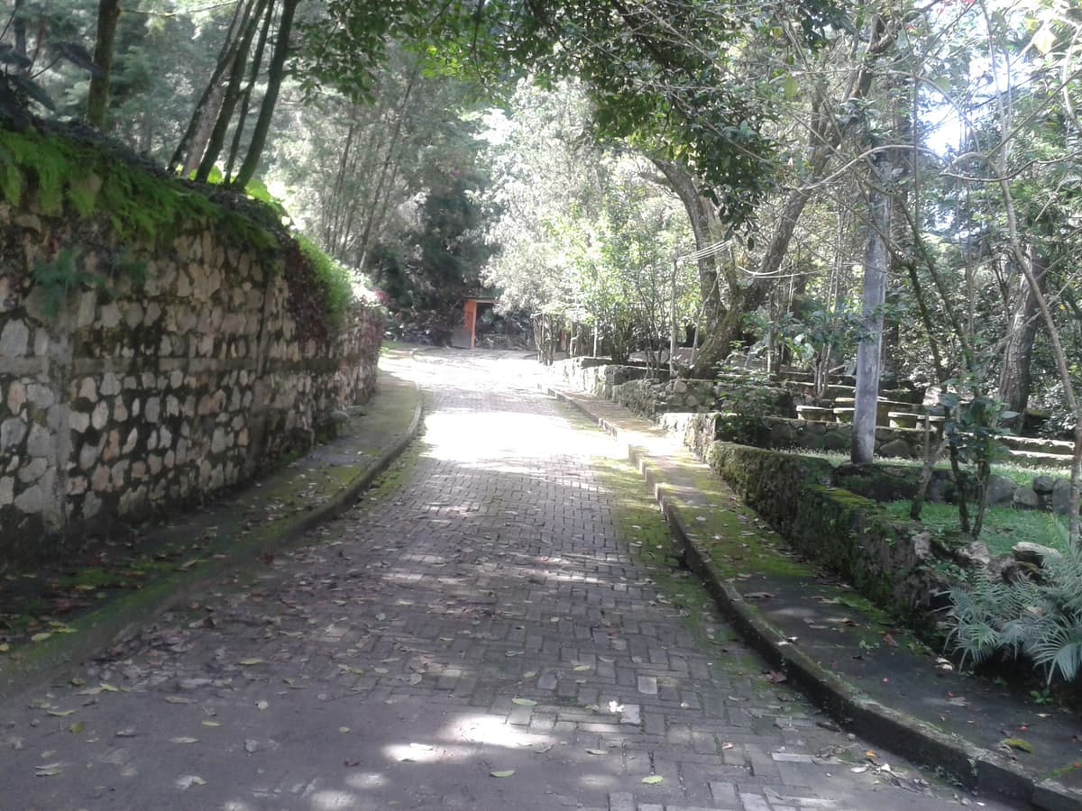 En venta terreno en zona 15 Colonia Trinidad - foto 1