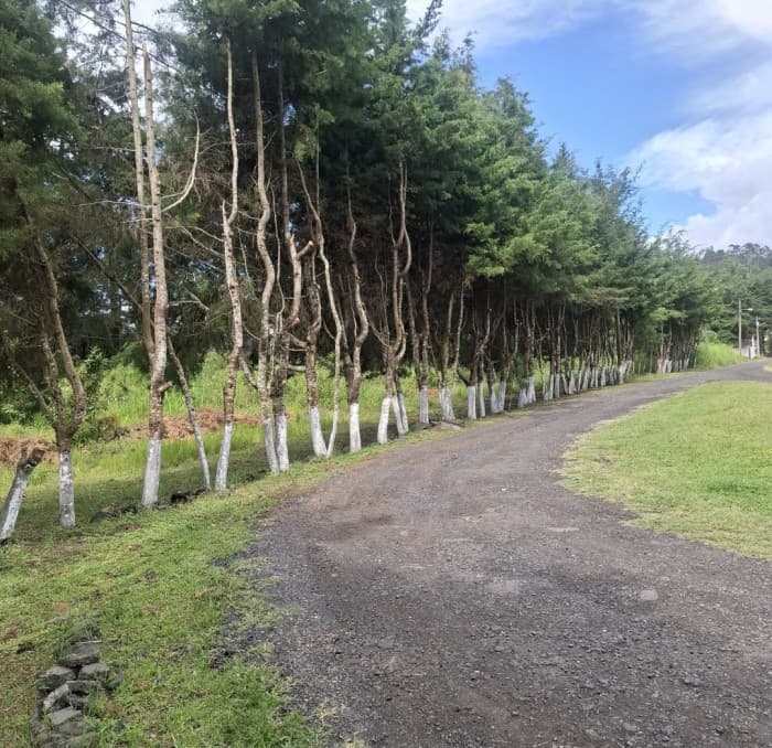 Terreno comercial renta 4586Vrs Carretera el Salvador - foto 1