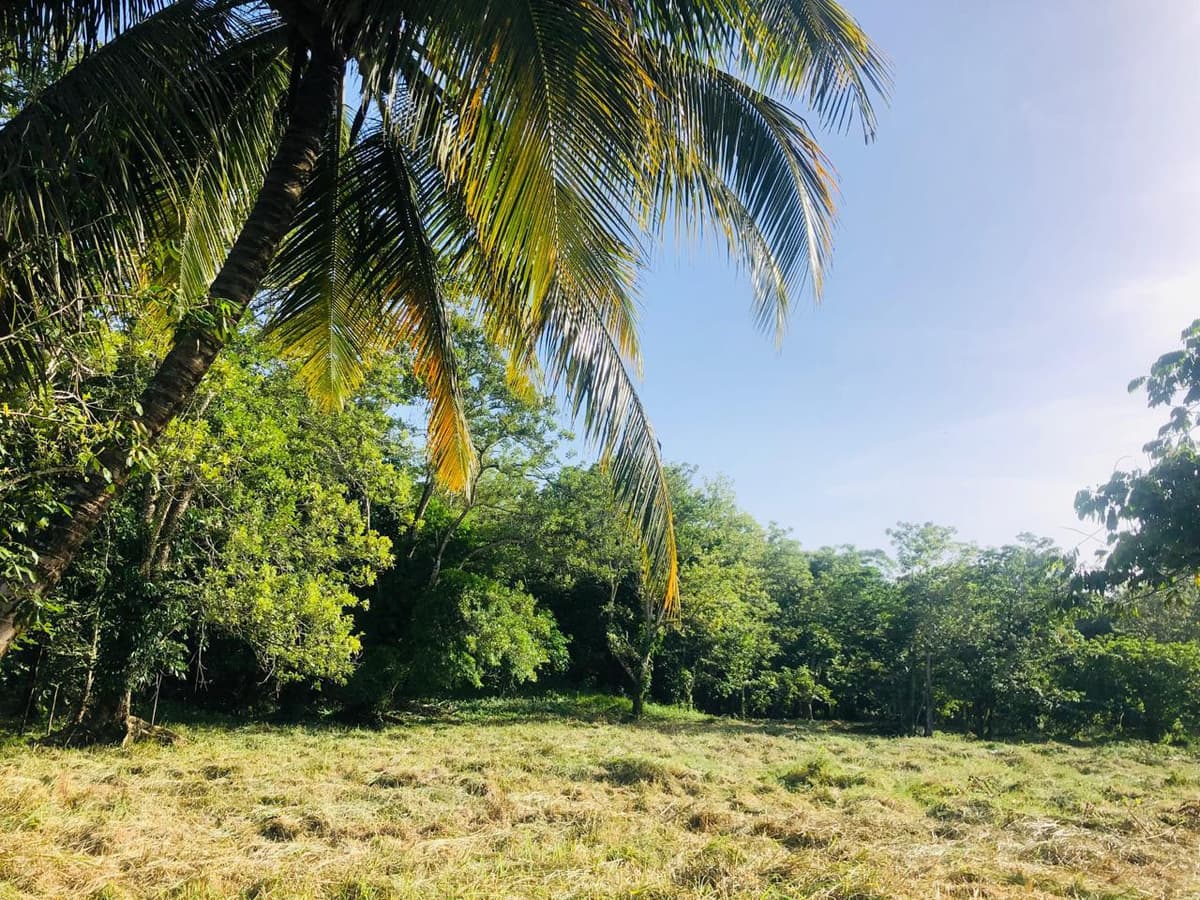 Terreno en Venta en Livingston Izabal  - foto 1