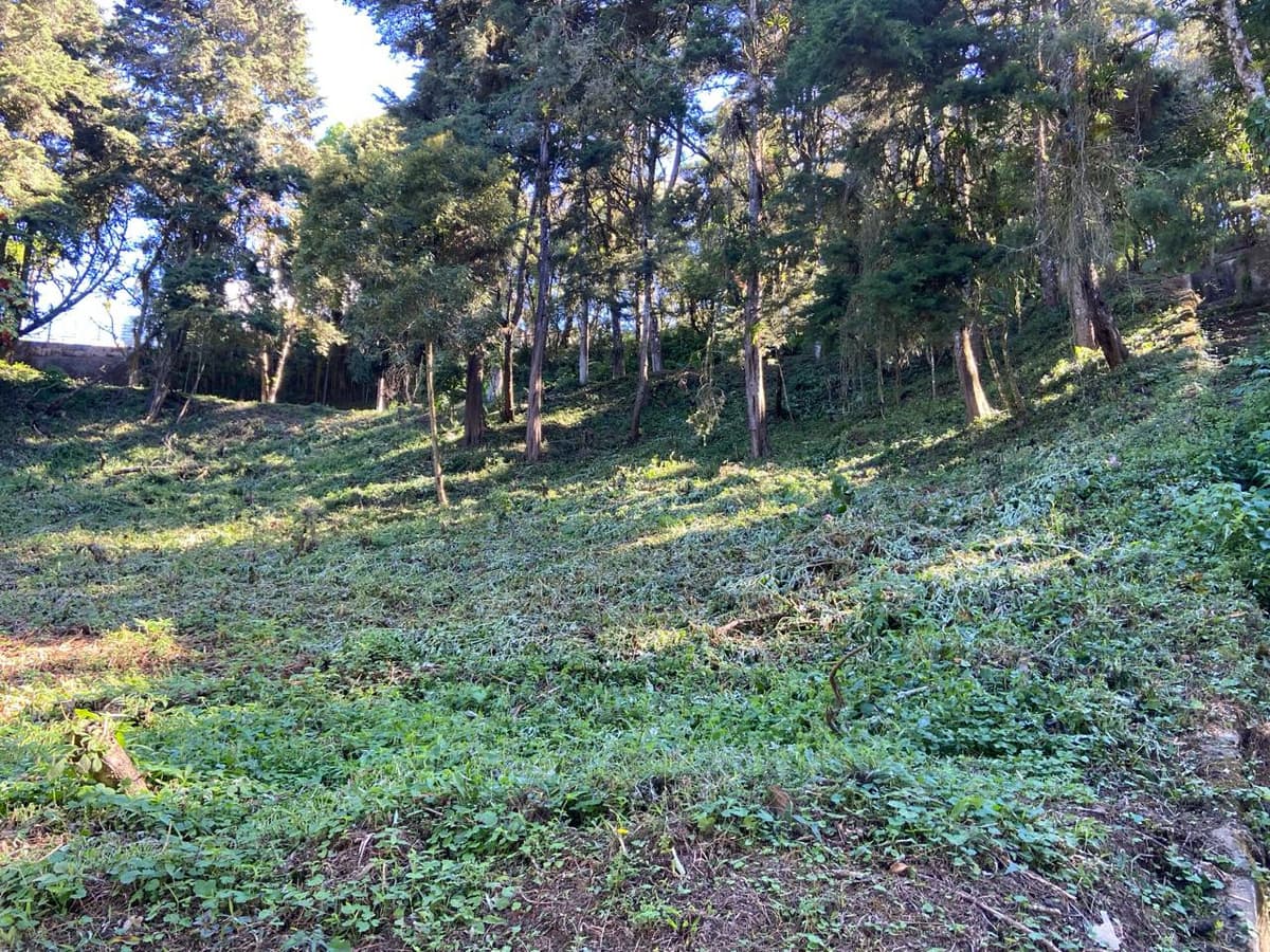 Terreno en Venta La Hondonada Santa Catarina Pinula - foto 1