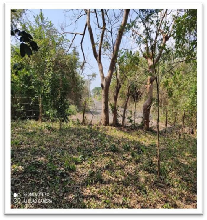 Vendo terreno residencial en Escuintla - foto 1