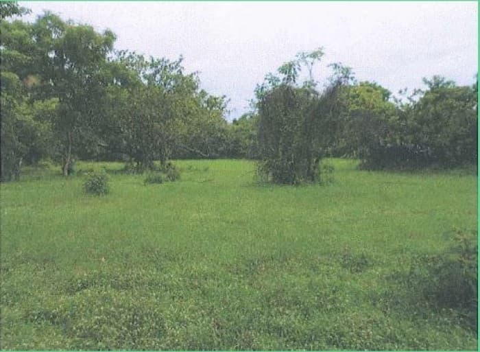 Renta terreno ideal para gasolinera en Escuintla - foto 1