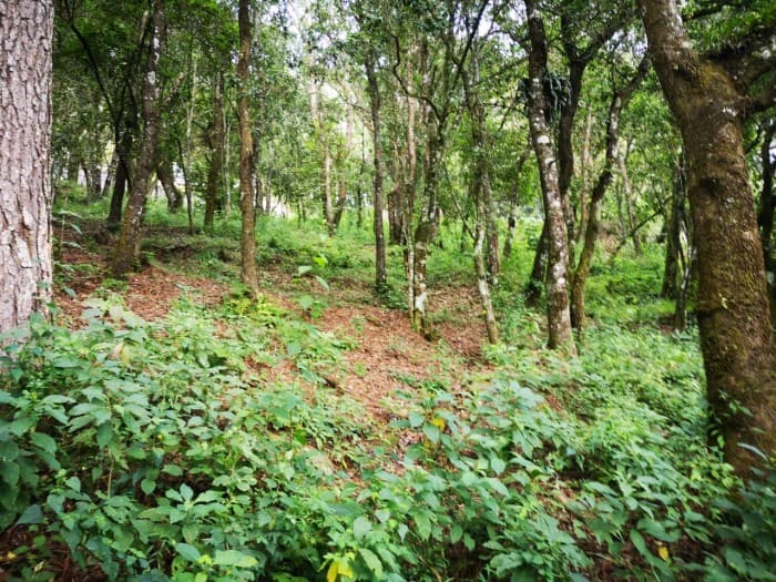 Terreno en Venta El Encinal Mixco - foto 1