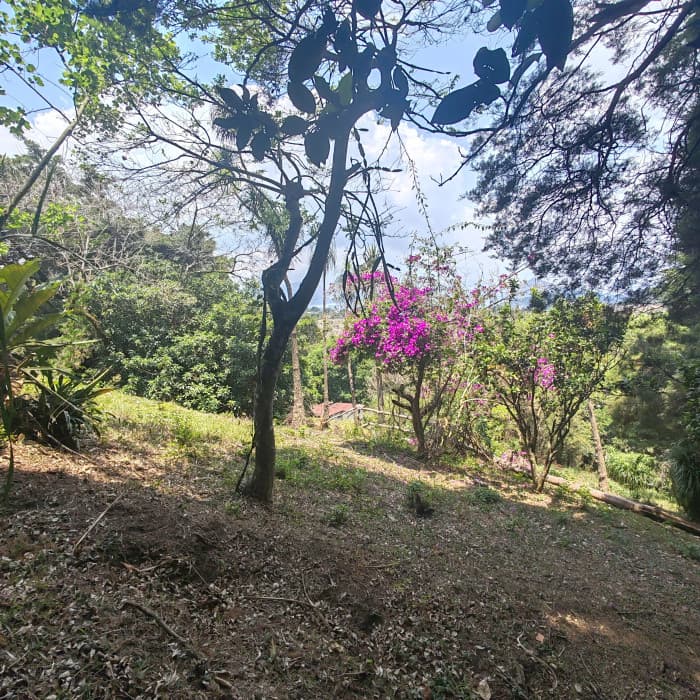 Terreno en venta Santa Elena Barillas Guatemala - foto 1