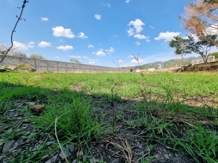 Terreno en Renta en Palencia sobre calle Principal - foto 1
