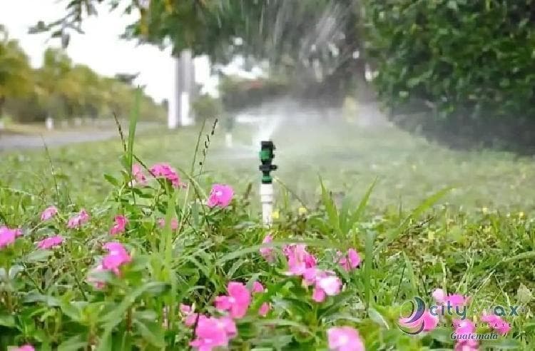Lindo terreno en venta en QUINTAS La Ponderosa Escuint - foto 1