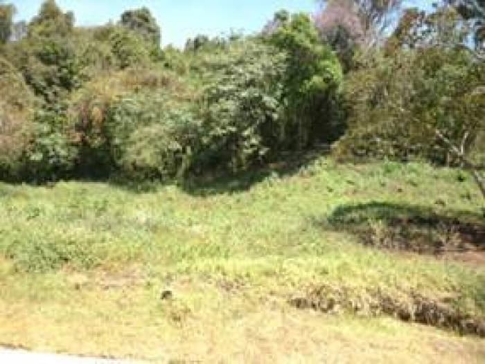Terreno en Venta en Carretera a El Salvador km 20.5     - foto 1