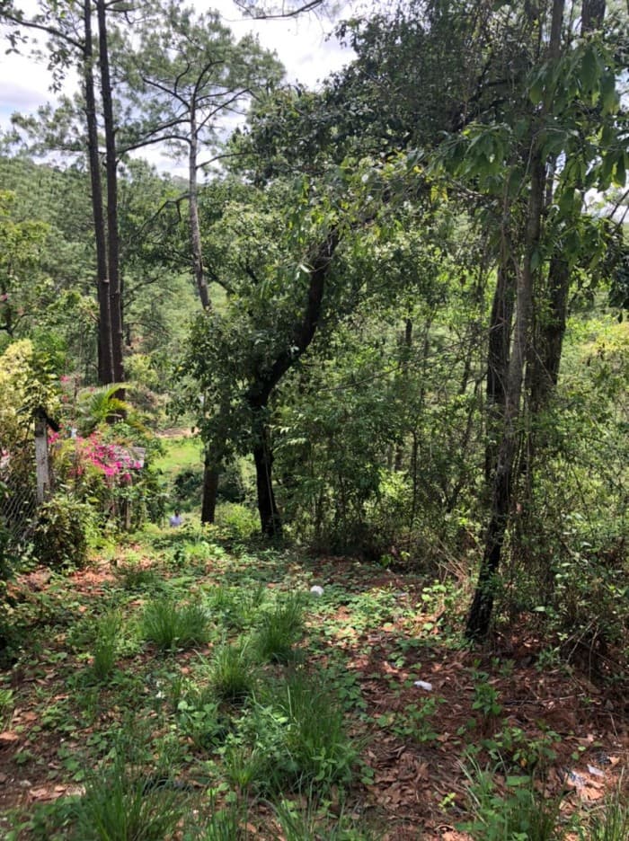 TERRENO EN HACIENDA DE LAS FLORES SAN JUAN SACATEPEQUEZ - foto 1