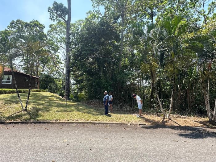 Terreno en Venta en Amatique Bay Resort  - foto 1
