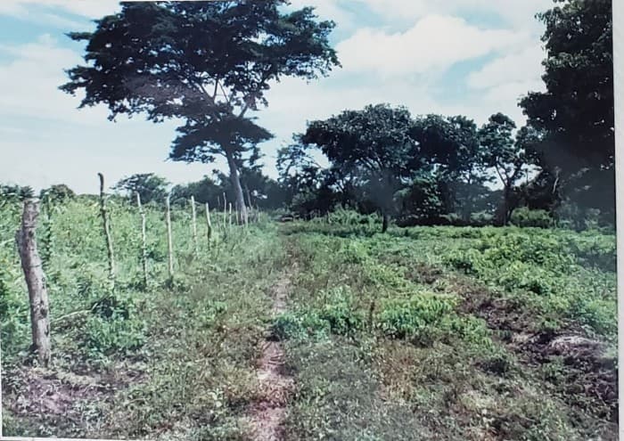 VENDO Terreno en el Sunzal el Salvador de Acajutla - foto 1
