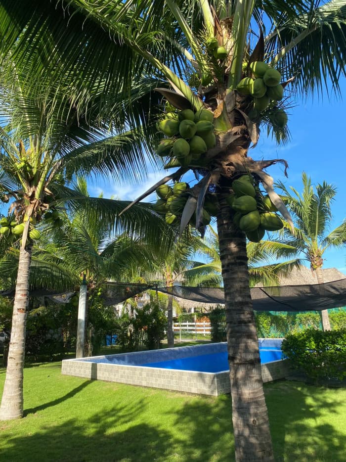 Casa En Venta en Monterrico EL PUMPO - foto 1