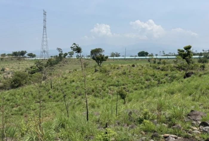 Terreno en venta de 29,818 M2 en Taxisco  - foto 3