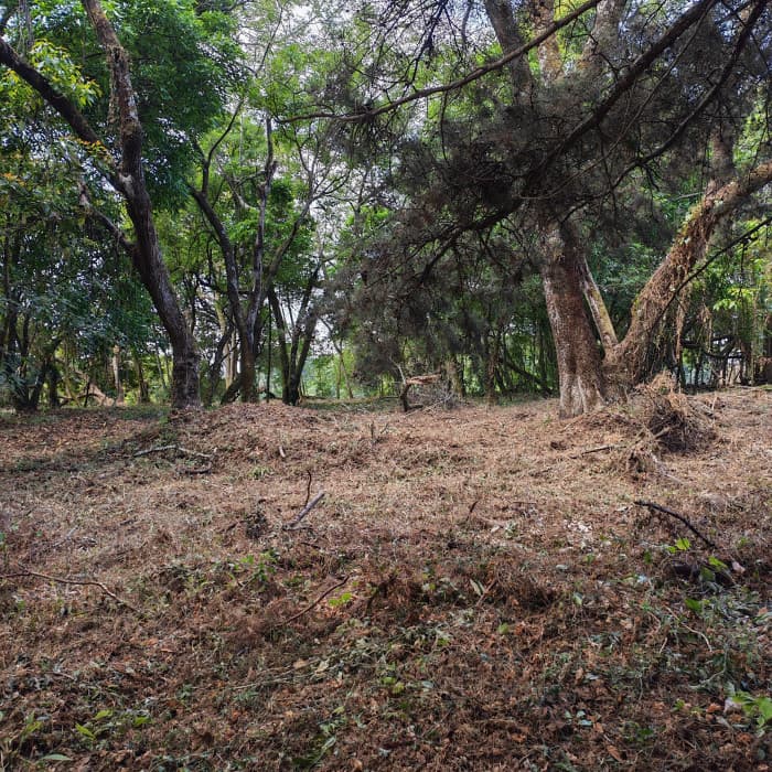 En Venta Terreno en Casa & Campo Guatemala - foto 4