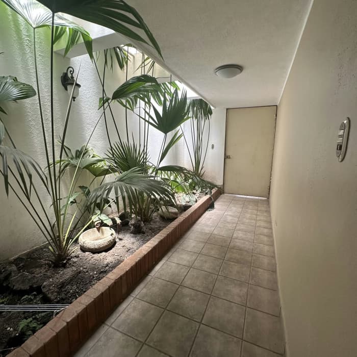 Casa en Venta o Renta en Carretera El Salvador Km 15.5 - foto 3