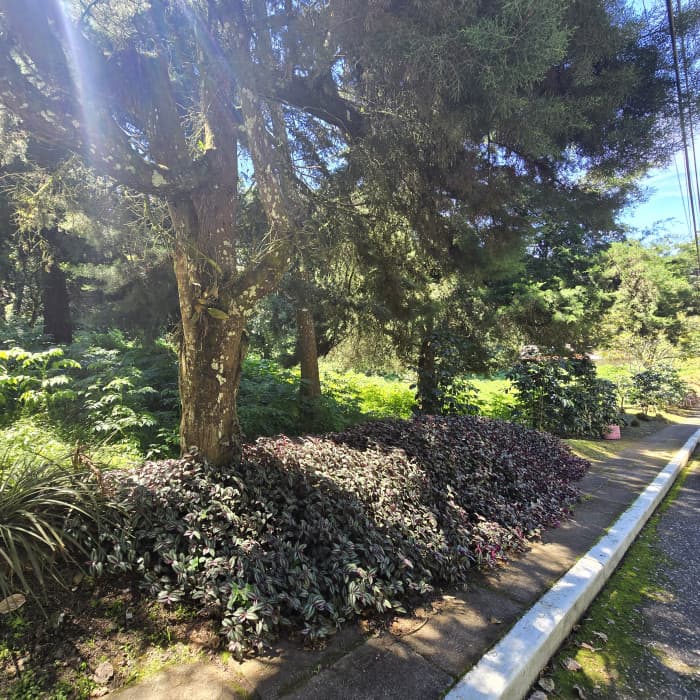 Terreno en Venta en Mirage km18 Carretera a El Salvador - foto 4