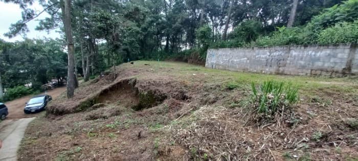 Terreno en venta en el Encinal Tronco 2  - foto 2