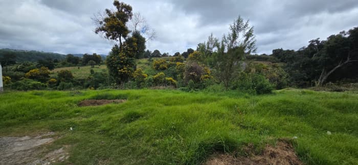 Granja en venta en Villas Alicia Santiago Sacatepéquez - foto 3