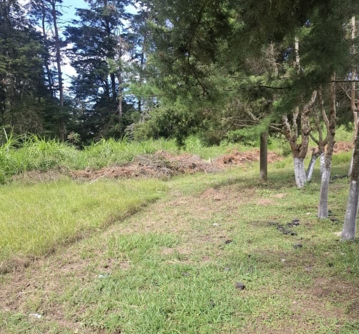 Terreno comercial renta 4586Vrs Carretera el Salvador - foto 2