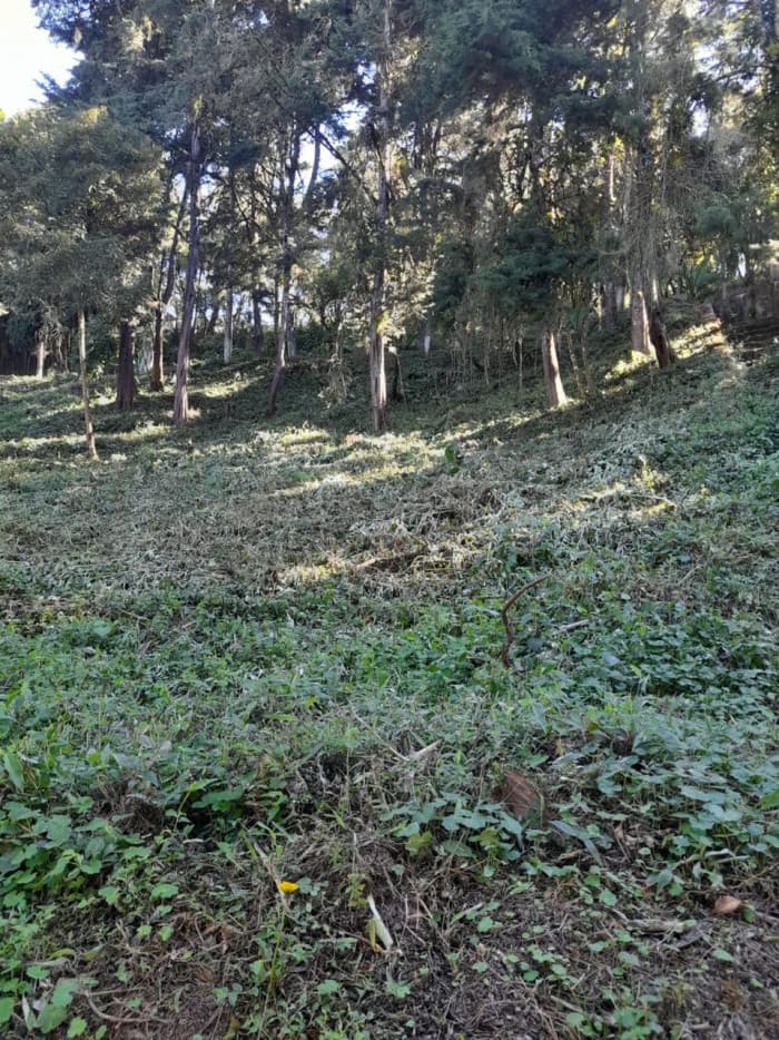 Terreno en Venta La Hondonada Santa Catarina Pinula - foto 4