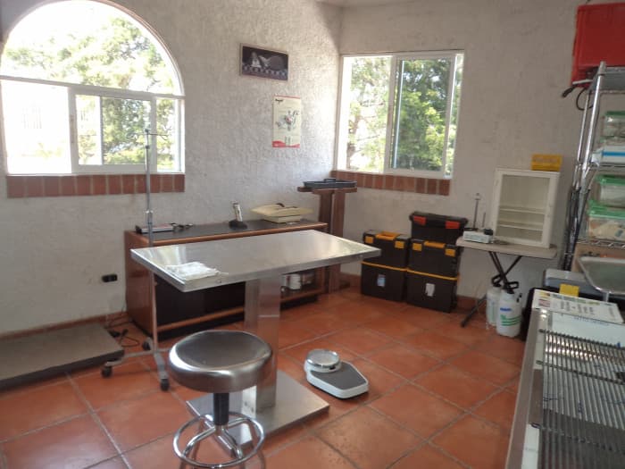 Casa en Venta dentro de garita En Zona 17  - foto 3