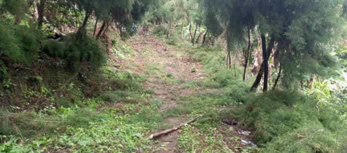 Terreno en venta para desarrollo comercial en Amatitlán - foto 4
