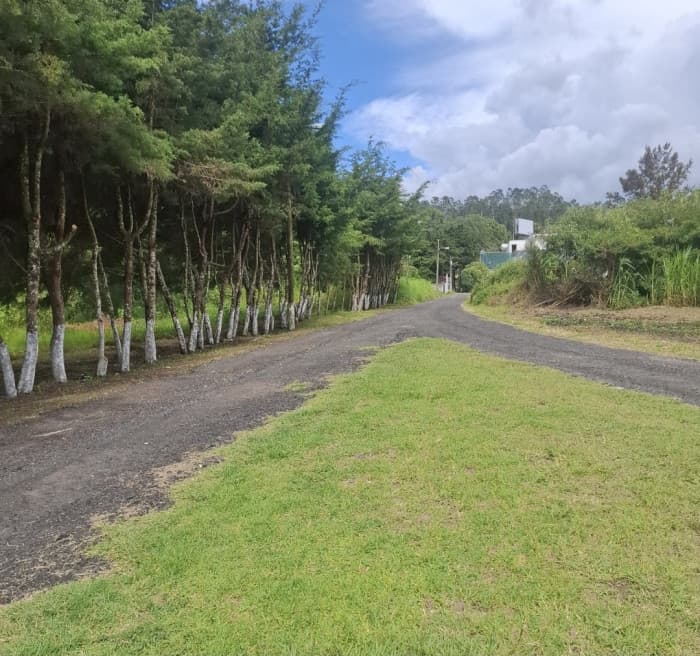 Terreno comercial renta 4586Vrs Carretera el Salvador - foto 3