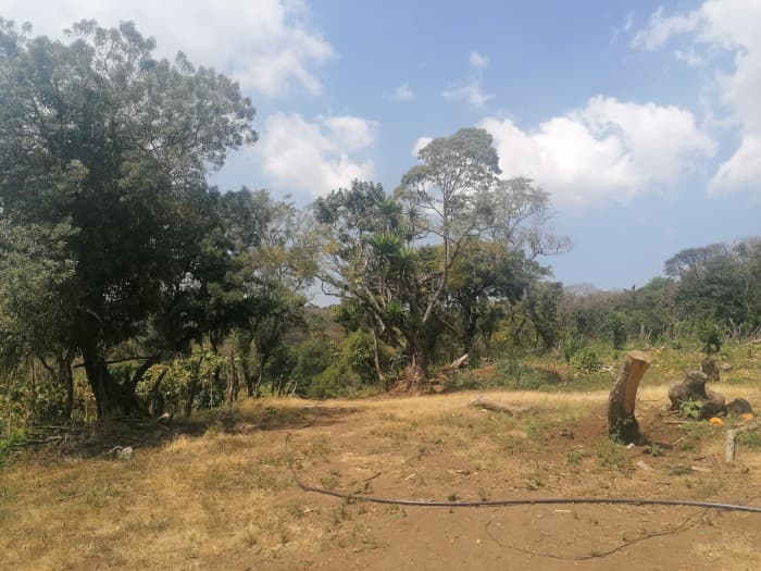Vendo Terreno para desarrollo en Carretera El Salvador - foto 4