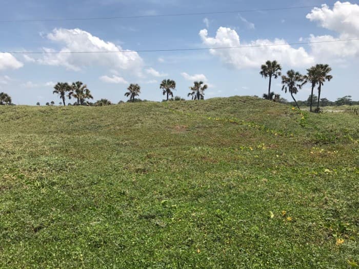 TERRENO EN VENTA ALDEA BARRITA VIEJA PUERTO SAN JOSE - foto 3