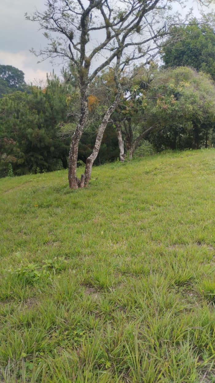 Terreno en venta Bosques de Vilaverde km 26.5 CES - foto 4