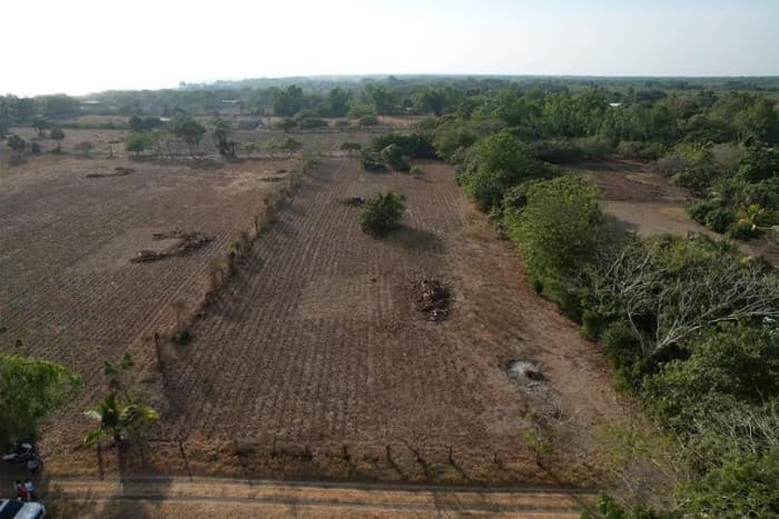 Terreno Plano  en Venta en Aldea el Guayabo Iztapa - foto 3