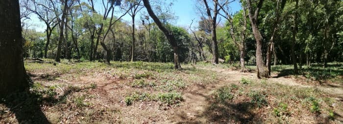 Terreno en venta dentro Residencial Premier Campestre. - foto 2