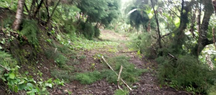 Terreno en venta para desarrollo comercial en Amatitlán - foto 3